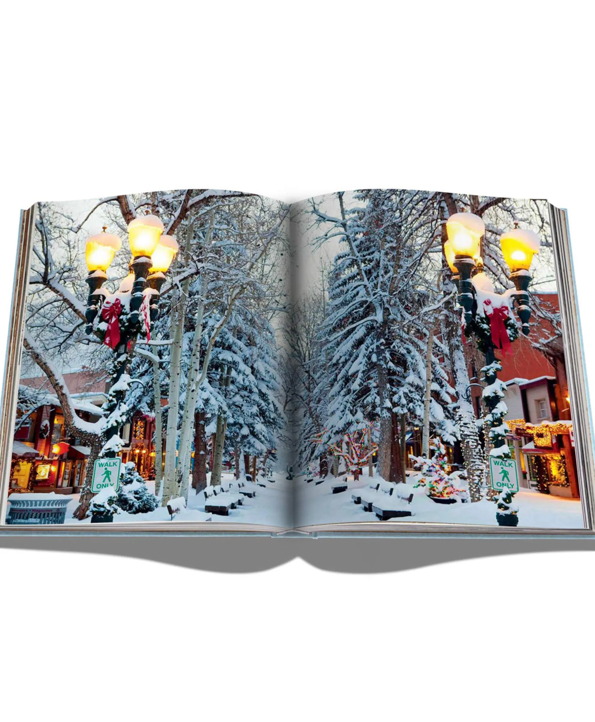 Assouline Boek Aspen Style Diversen